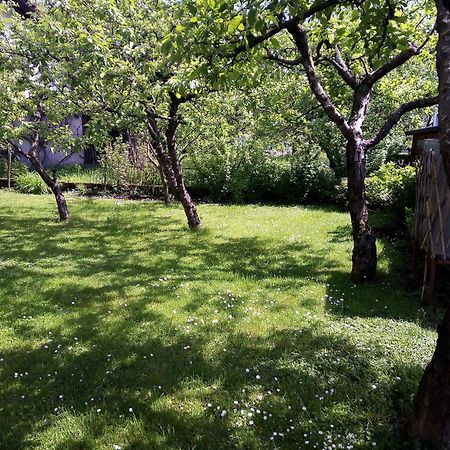 Apartma Rutar Толмин Экстерьер фото